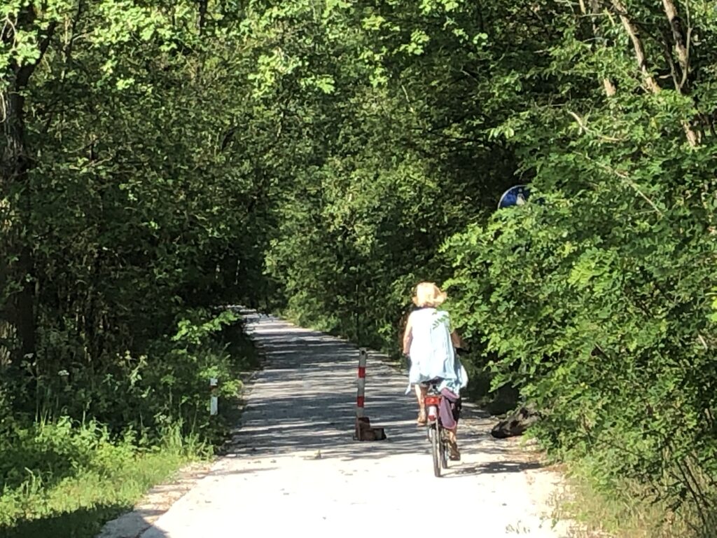 Sanierung Radweg