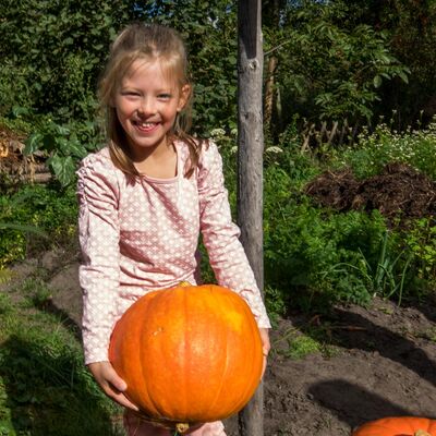 Herbstliche Kreativwerkstatt für Kinder