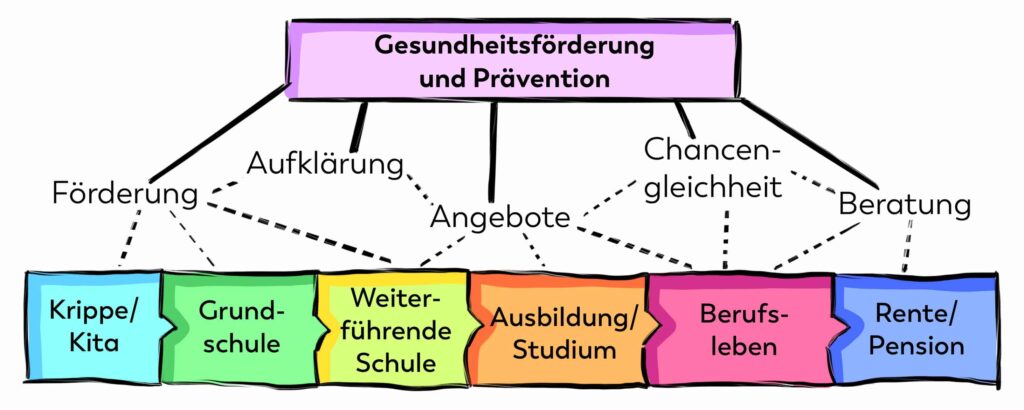 Eine bunte Darstellung der Aufgaben der Gesundheitsprävention in den verschiedenen Lebensphasen.