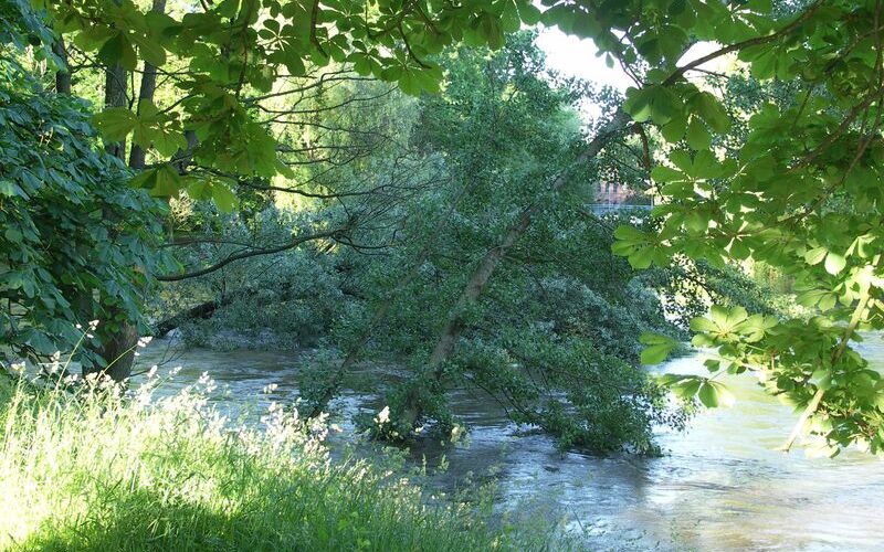 Untere Fischereibehörde Untere Fischereibehörde