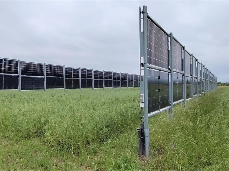 f595edc4c68d54ec6f63b822f6f4db5bb85ce3a2605000363f0e0042bbee02dc.jpg#eneuerbar, #erneuerbare energien, #Photovoltaik, #PV, #Solar Agri-PV Anlage in Dresden Pillnitz